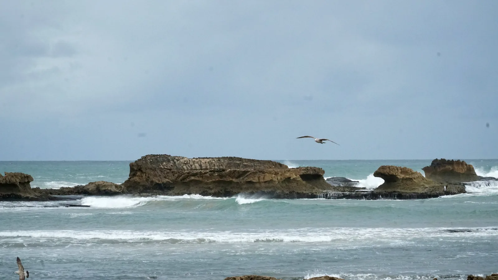 Essaouira Beach, Essaouira, Morocco - Blue Flag beach