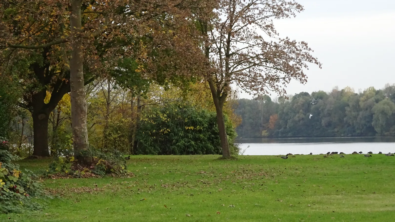 Wisseler See, Kalkar, Germany - Blue Flag beach