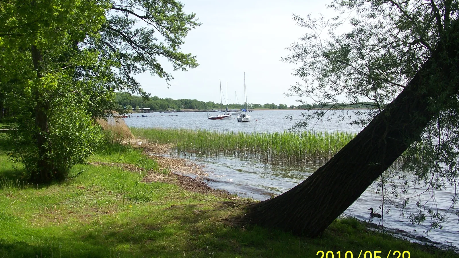 Zieleniewo, Lake Miedwie, Poland - Blue Flag beach