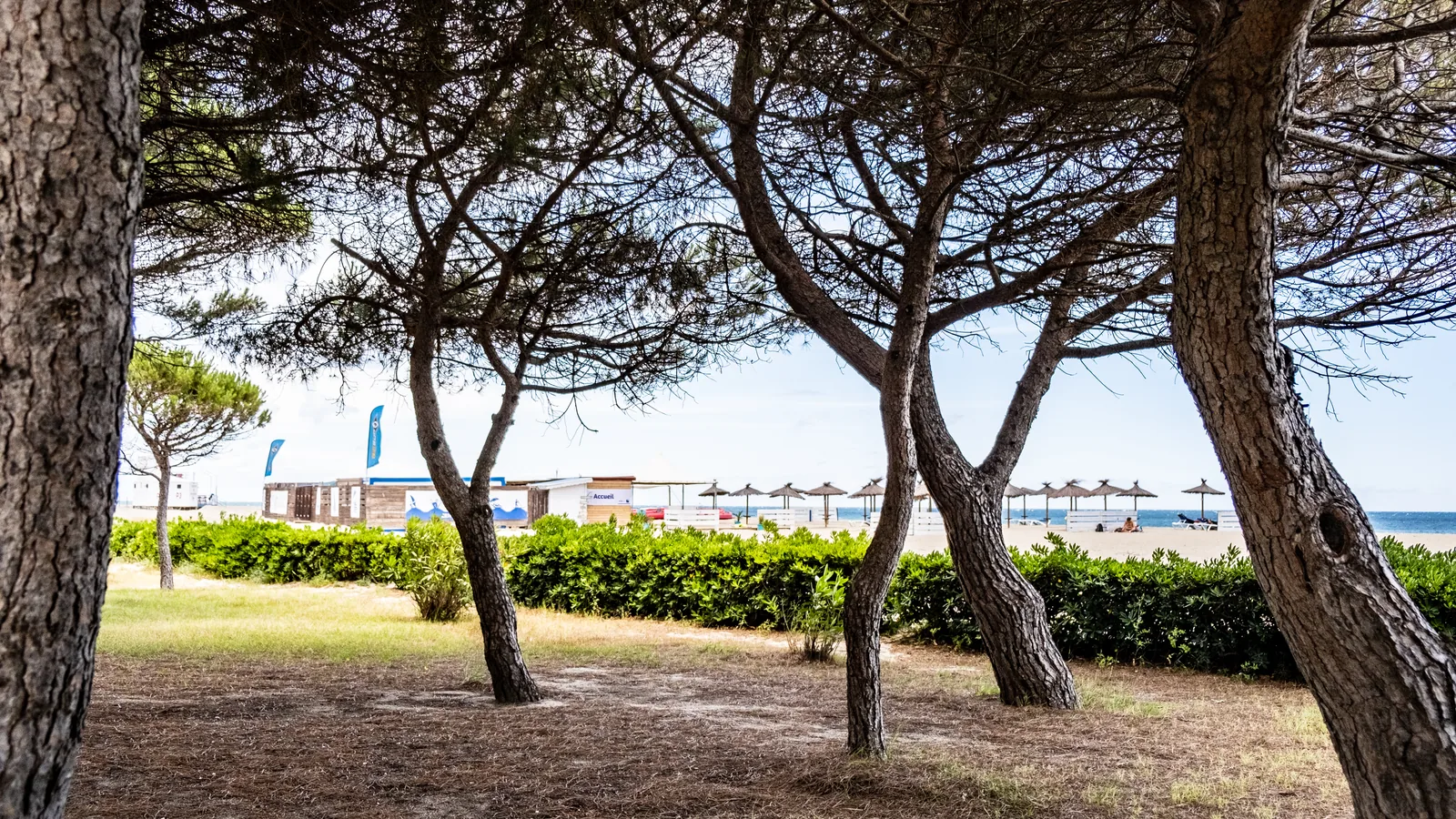 Plage Centre-Pins, Argelès-sur-Mer, France - Blue Flag beach