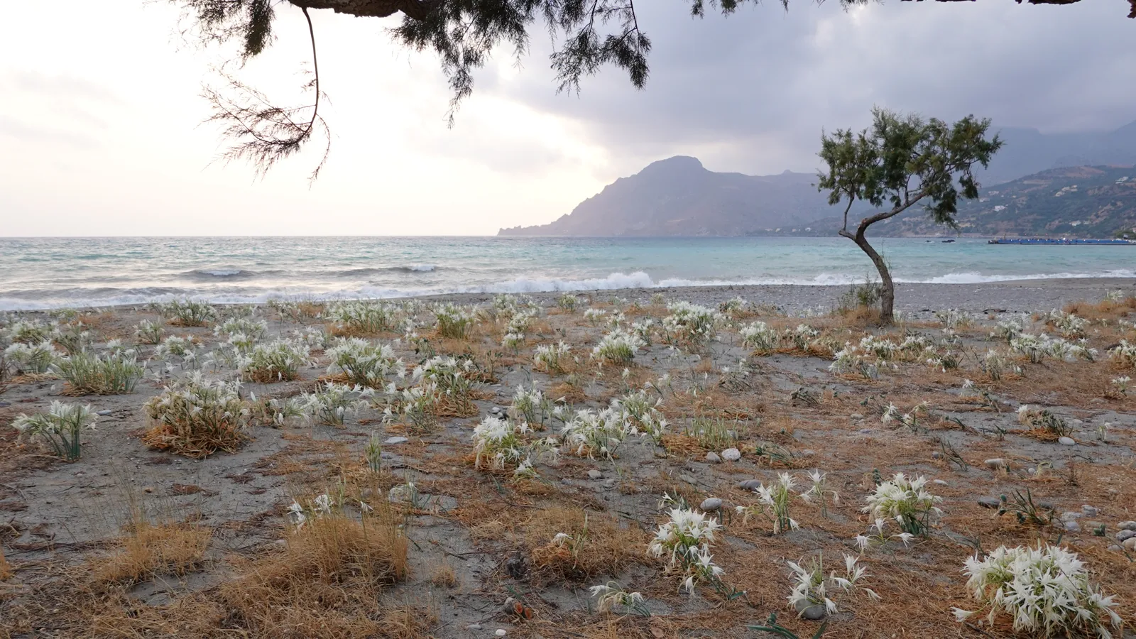Plakias beach, Crete, Greece - sand and the Libyan Sea