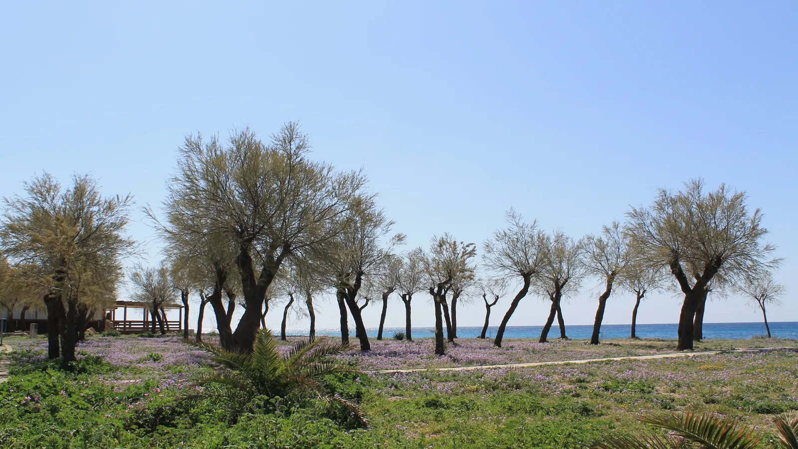 Torre San Giovanni, Ugento, Italy - Blue Flag beach