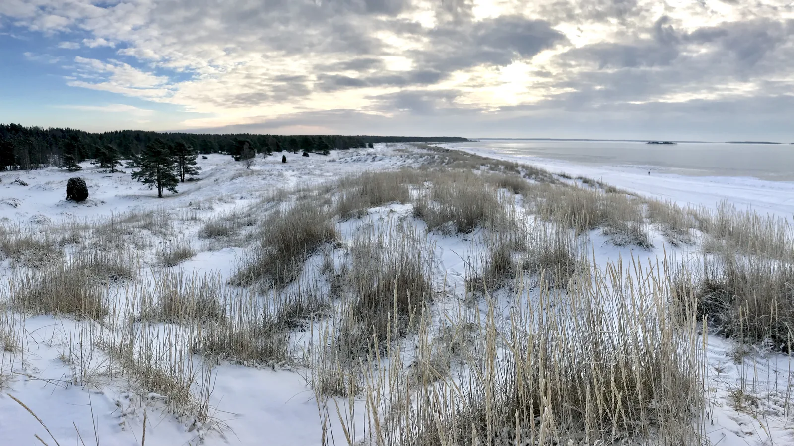 Yyteri Beach, Pori, Finland - Blue Flag beach